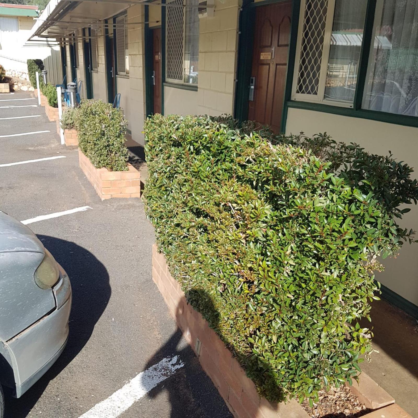 Golden Peak Motel Peakhill Peak Hill Exterior foto