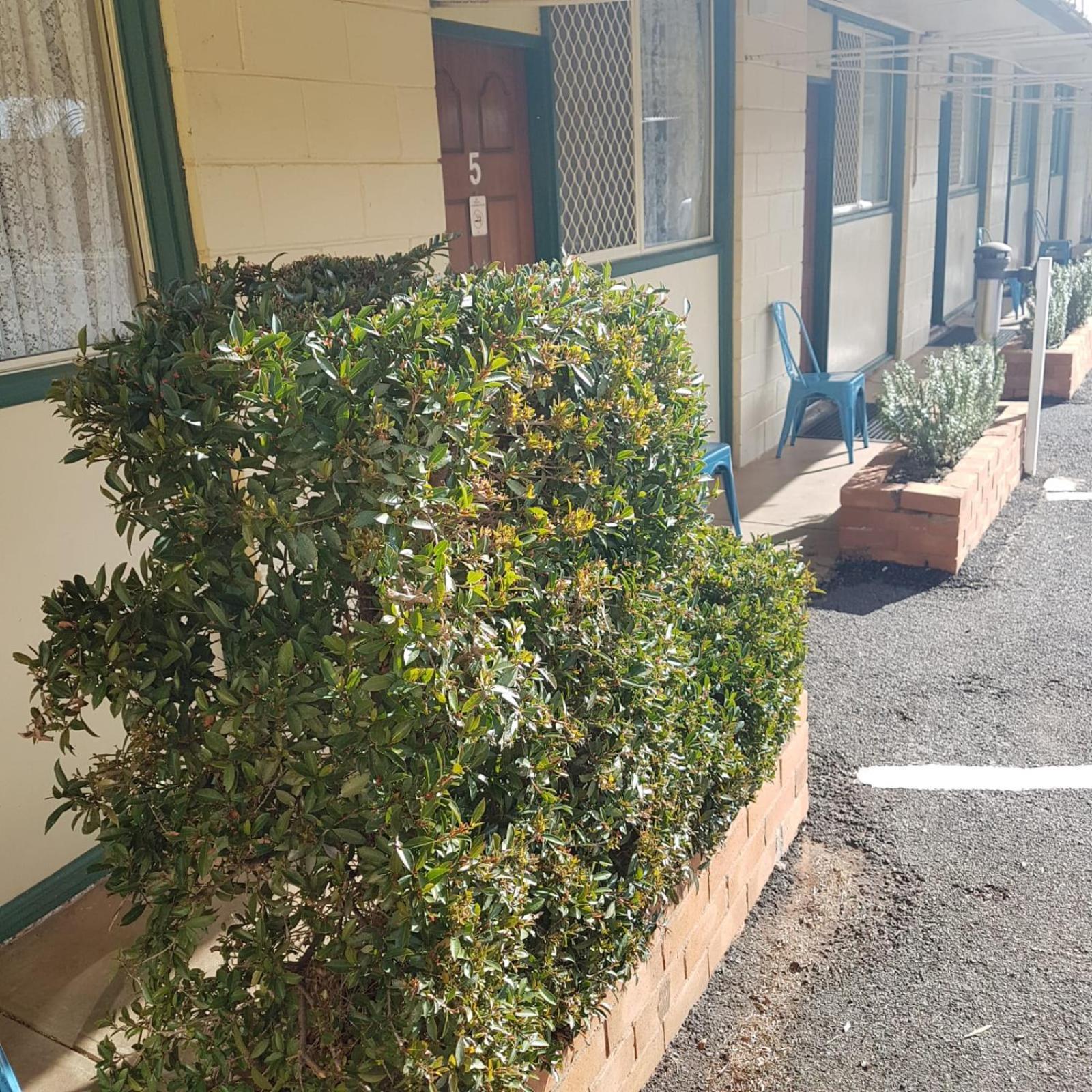 Golden Peak Motel Peakhill Peak Hill Exterior foto